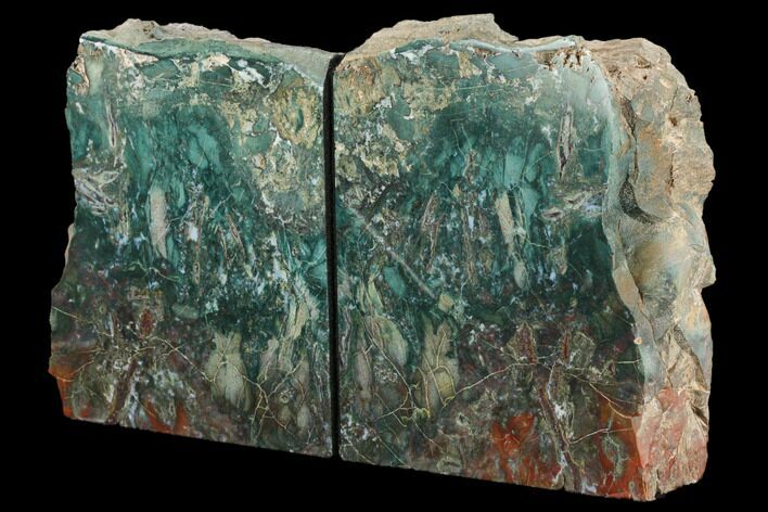 Green & Red Jasper Replaced Petrified Wood Bookends - Oregon #125703